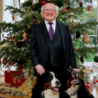 Christmas and New Year Message from President Michael D. Higgins 2019