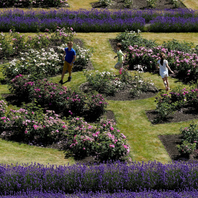 Speeches By President Of Ireland, Michael D. Higgins