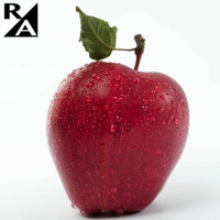 Not So Fast, Scooter...