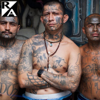 HOW DARE YOU Deport These Innocent Lambs?!