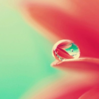  Música Sanadora ➤ Paz y Equilibrio Espiritual - Episodio exclusivo para mecenas