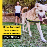 Biodescodificación de la Apatía