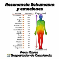 Resonancia Schumann y su influencia en esta nueva era de vibración - Episodio exclusivo para mecenas