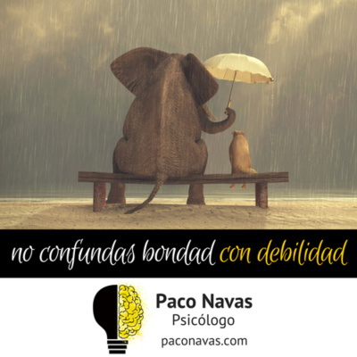 Paco Navas - Psicólogo - Mente Dinámica En Acción