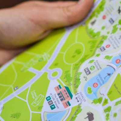 Paco Navas - Psicólogo - Mente Dinámica En Acción