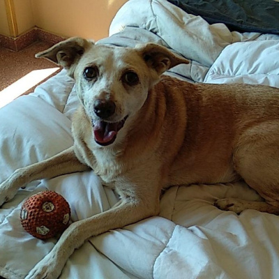 Paco Navas - Psicólogo - Mente Dinámica En Acción