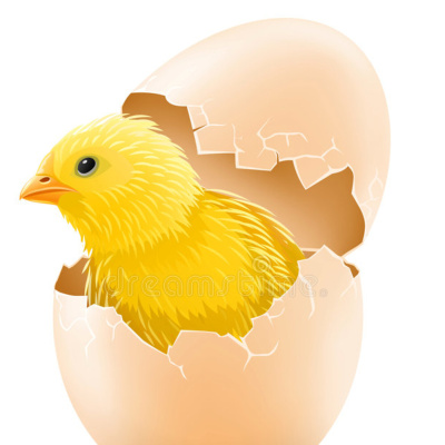 Paco Navas - Psicólogo - Mente Dinámica En Acción