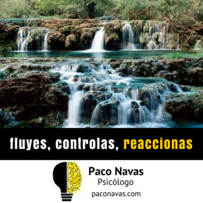 Paco Navas - Psicólogo - Mente Dinámica En Acción