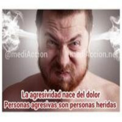 Paco Navas - Psicólogo - Mente Dinámica En Acción