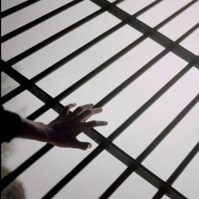 Paco Navas - Psicólogo - Mente Dinámica En Acción