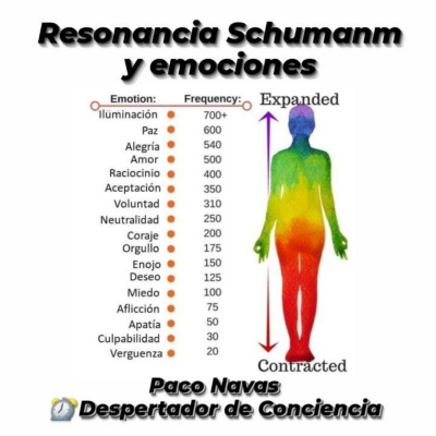 Paco Navas - Psicólogo - Mente Dinámica En Acción