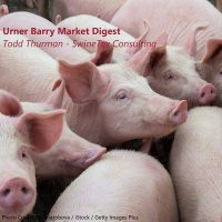 Time for a Toddcast: Todd Thurman of SwineTex Consulting