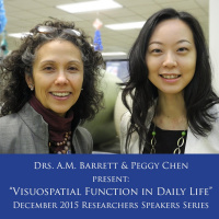 07DEC15 - Visuospatial Function in Daily Life - AM Barrett_P Chen