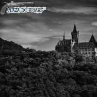 14. Curiosidades de la Edad Media Vol.1