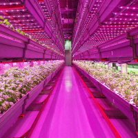 How Will We Feed the Growing Population - Episode 77