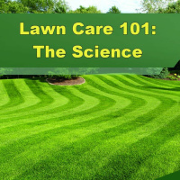 Lawn Care 101: The Science Behind Your Yard - Episode 197