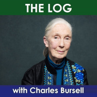 Love and Madness (TL570)