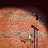 Comedy and Lies (CBP-15)