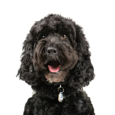 Charles Bursell Presents