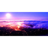 Wellness Wednesday: Live, Love and Truth Is The Order of Life