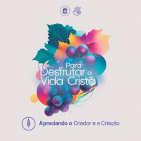 APRECIANDO O CRIADOR E A CRIAÇÃO || Pr. Carlito Paes