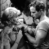 A Streetcar Named Desire (1951)