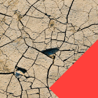 Is de droogtecrisis de volgende crisis die ons bedreigt? Met Marijke Huysmans