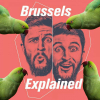 Where do all the exotic ring-necked parakeets in Brussels come from?