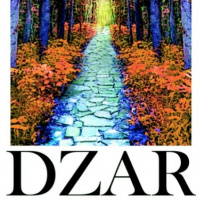 DZAR On The USA Election  The Story Of You Course