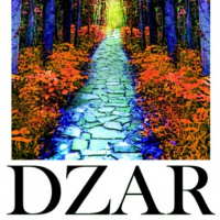 DZAR Campfire 20March2013 (SAMPLE)