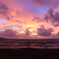 Down in the DM: Blessings  Noni in Kauai, Hawaii