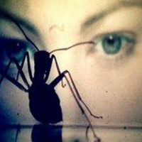 28 días de ciencia ficción # 14- Sucesos en la IV fase (Saul Bass, 1974) - Episodio exclusivo para mecenas