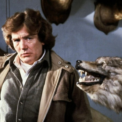 Todo Es Rock And Roll Podcast