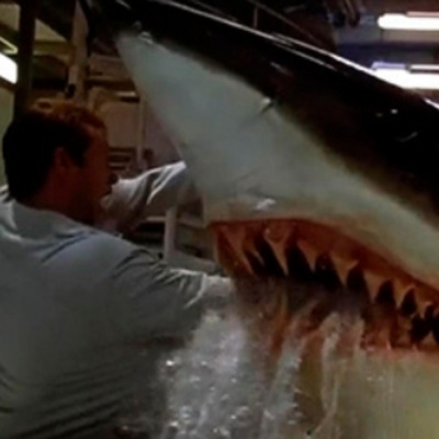 Todo Es Rock And Roll Podcast