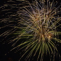 Dino Herbert Show - Every Day Hero: Declaration of Independence: Independence Day