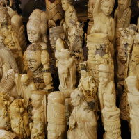 Episode 52 - The Ivory Queen?