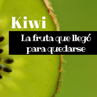 SER SALUDABLES 23 de enero de 2017