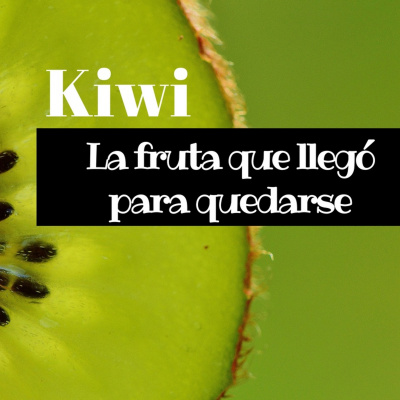 Ser Saludable