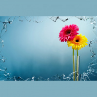 Music and Writing Why playlist are important when writing. 