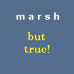 Marsh But True