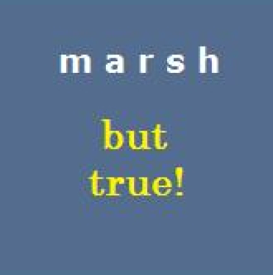 Marsh But True