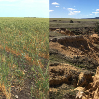 Soil security: running down a dream