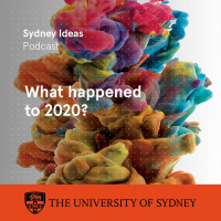 What happened to 2020? The year in review