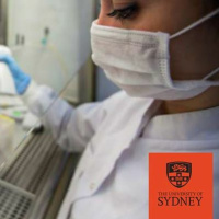 Westmead women and girls in science