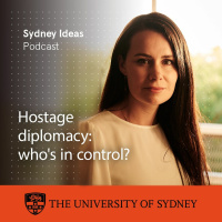 Hostage Diplomacy: whos in control?