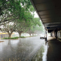 Insights 2016: Professor Catherine Driscoll on Rural Retirement Culture