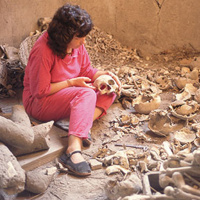 Dr Estelle Lazer on Stolen Lives: Returning Identities to Pompeian Victims of the AD 79 Eruption 