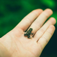 Biodiversity and extinction: can we achieve justice for all?