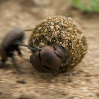 Waste Matters: you are my future