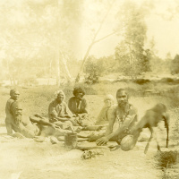 Being Collected: insights into repatriation